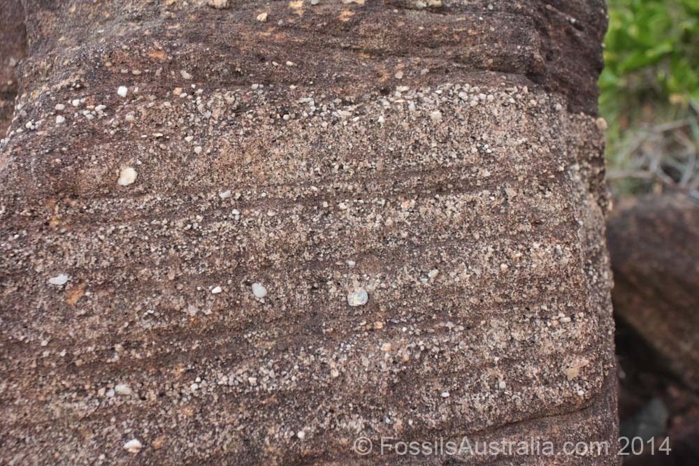 Graded Bedding