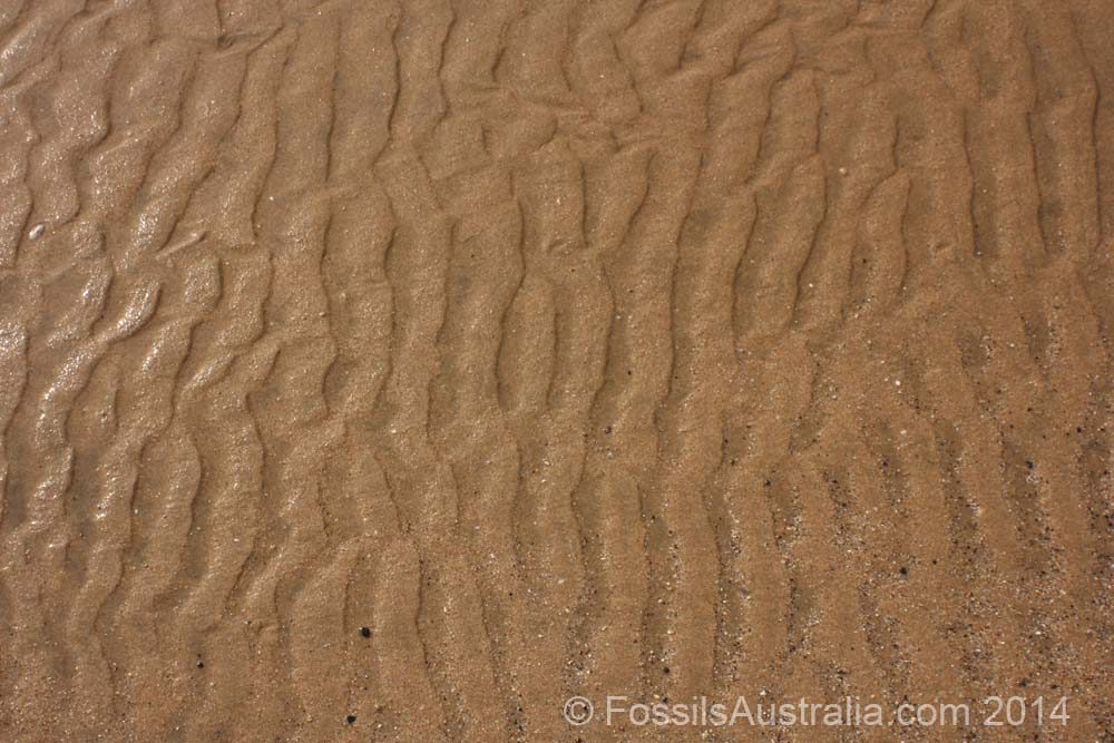 asymmetric wave ripples